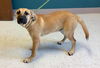 Hurricane Evette-NEEDS FOSTER