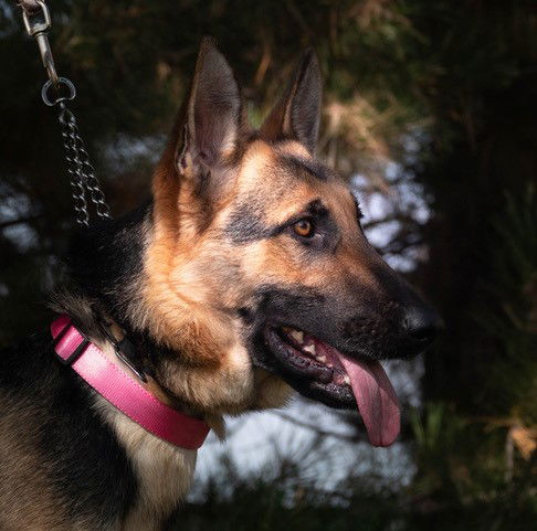 Gracie May