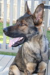 Ares