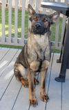 Ares