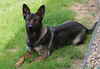 Ares