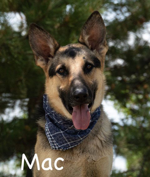 Mac