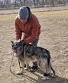 Alia - Available for Foster to Adopt
