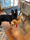 Xena