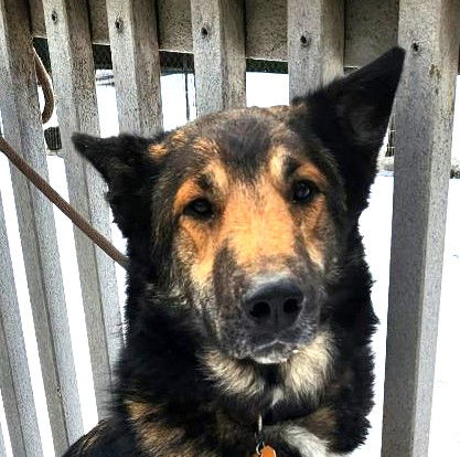 Axel