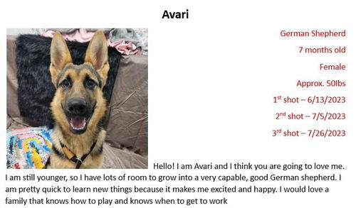 Avari