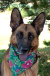 Sasha Jane-Foster to adopt