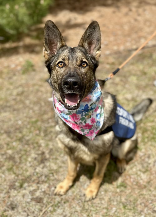 Kaia