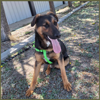 Sarge 2