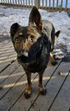 Kayna