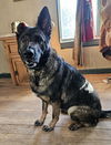 Kayna