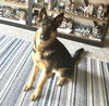 Mateo