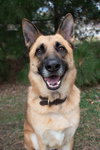 Willie - Photo 1