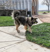 Smokie-Referral - Photo 4
