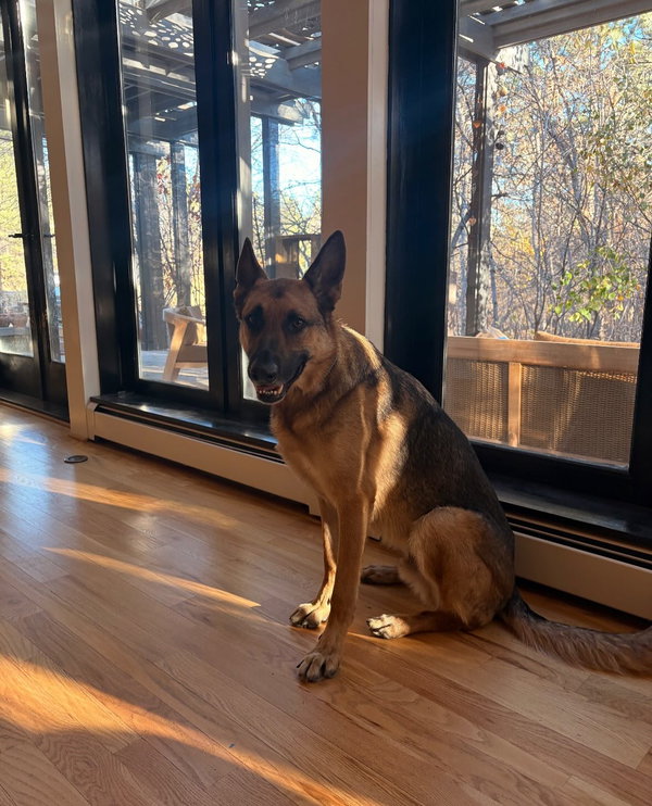 Enzo Barkley