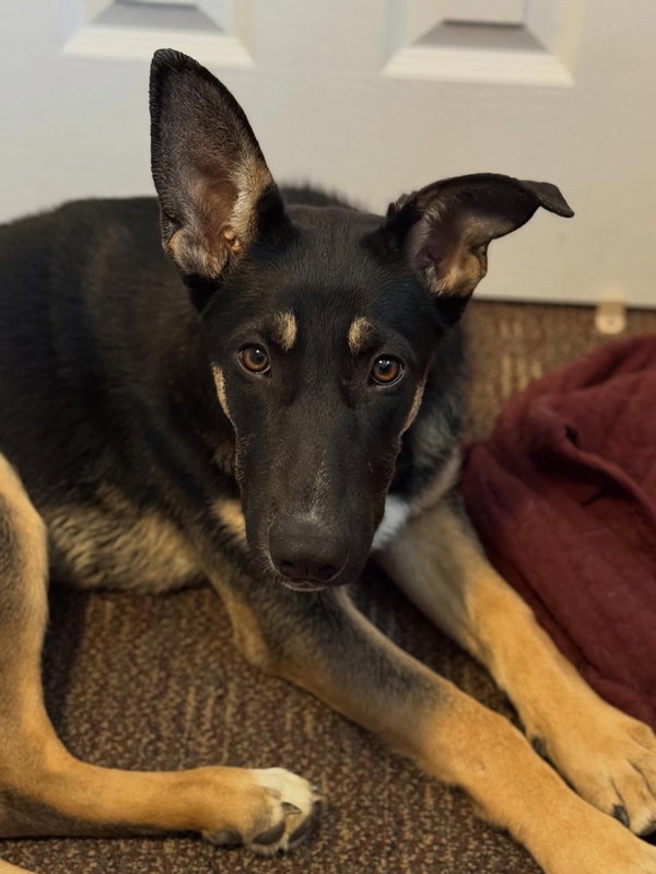 Bonnie Bleu