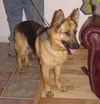 Annie