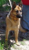 Annie