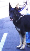 Hudson