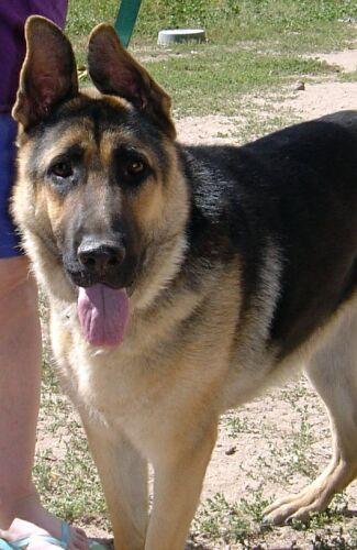 Jake