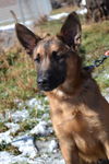 Tucker