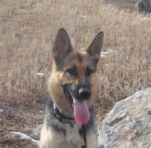 Athena