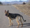 Athena