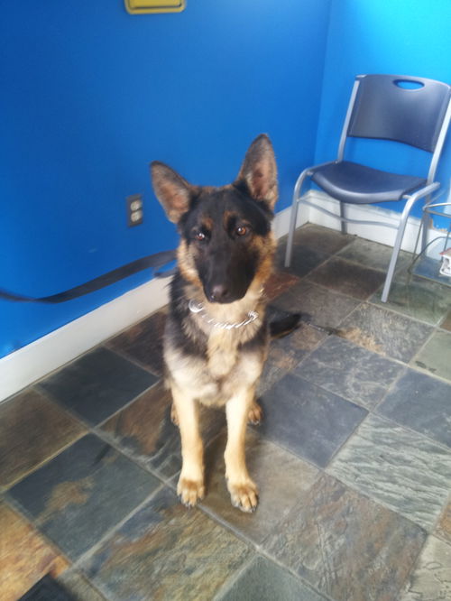 Odin