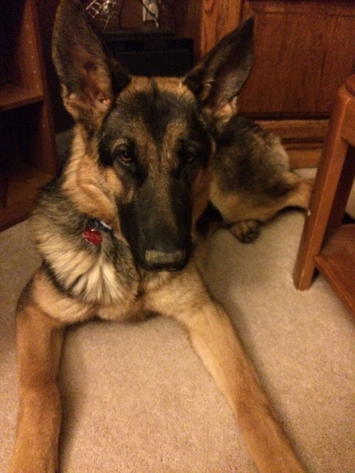 Hera