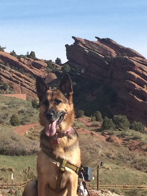 Athena
