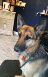 Athena