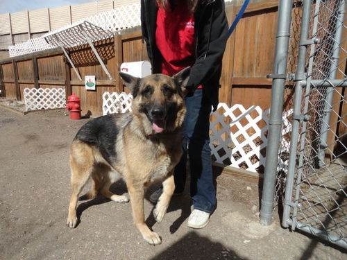 Cheyenne