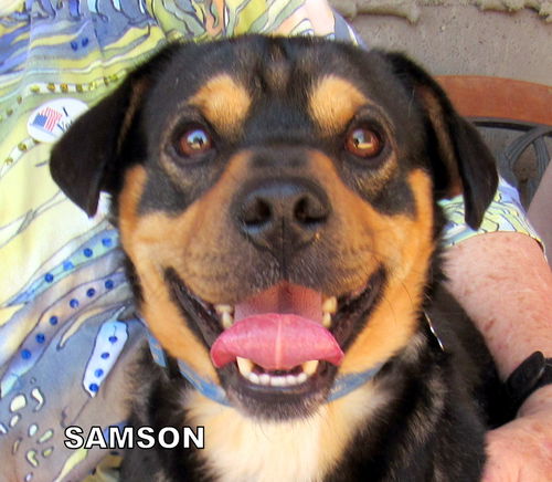 Samson