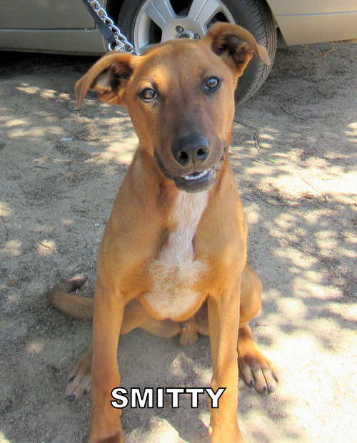 Smitty