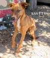 Smitty