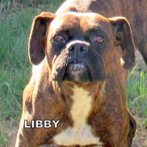 Libby (Ritzy)