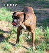 Libby (Ritzy)