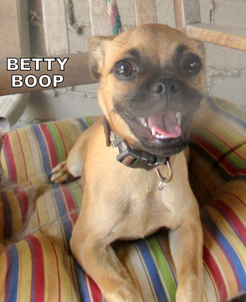 Betty Boop