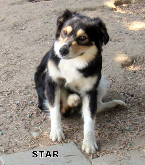 Star (Ritzy)