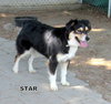 Star (Ritzy)