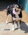 Star (Ritzy)