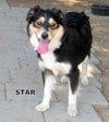 Star (Ritzy)