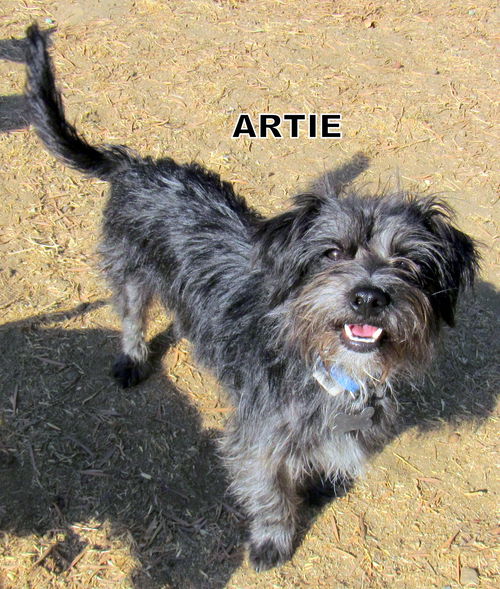 Artie
