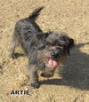 Artie