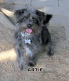 Artie