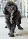 Sully (Ritzy)