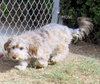Simone (Ritzy)