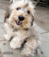 Simone (Ritzy)