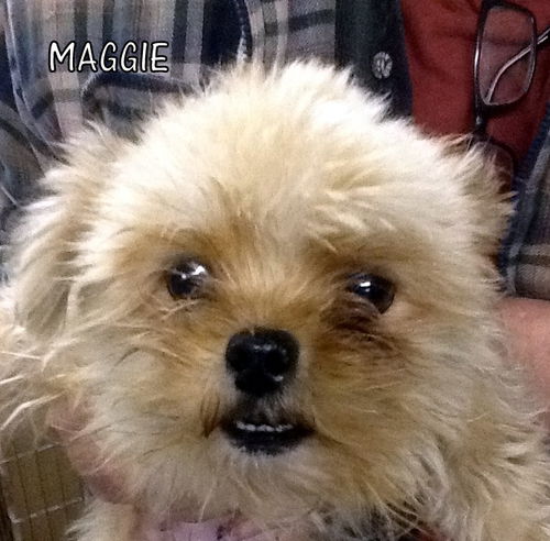 Maggie