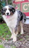 Sterling (Ritzy)